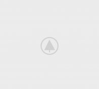 wood-gallery-placeholder-5 caterpillar ecm