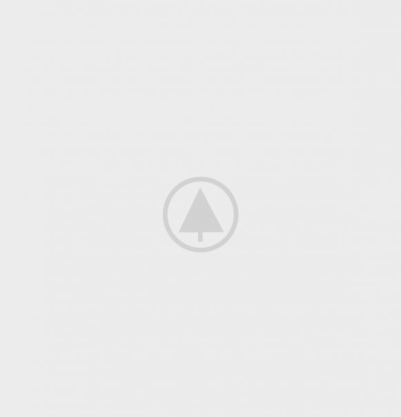 wood-gallery-placeholder-5 caterpillar ecm