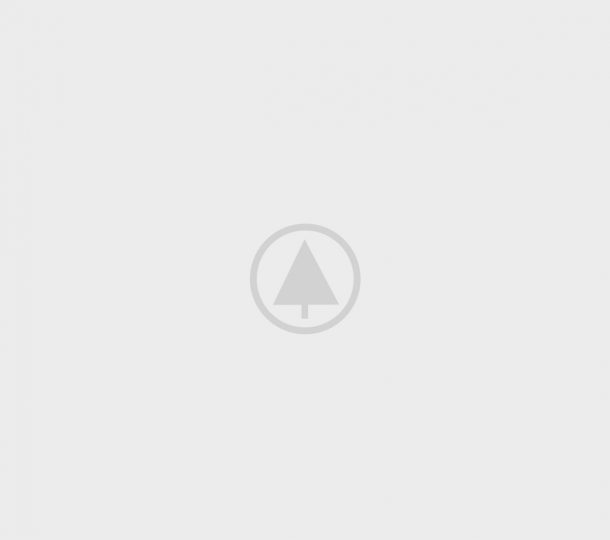 wood-gallery-placeholder-5 caterpillar ecm