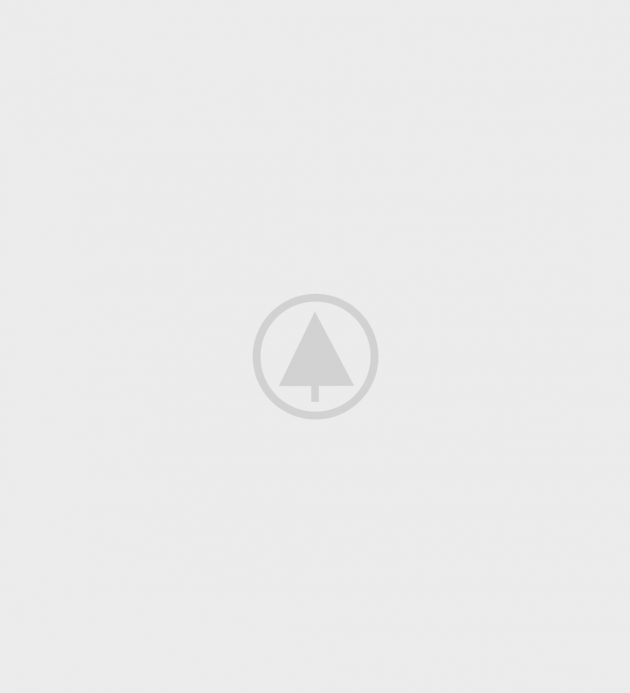 wood-gallery-placeholder-5 caterpillar ecm