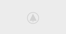 wood-gallery-placeholder-5 caterpillar ecm