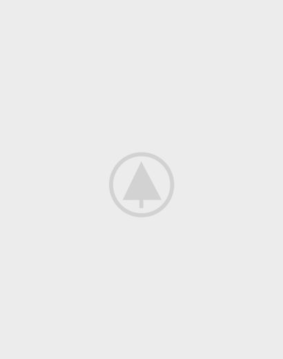 wood-gallery-placeholder-5 caterpillar ecm