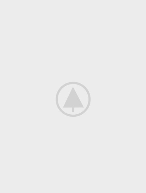 wood-gallery-placeholder-5 caterpillar ecm