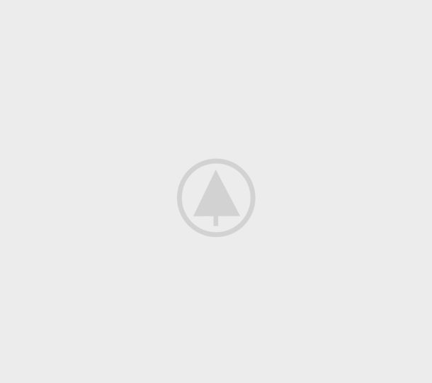 wood-gallery-placeholder-5 caterpillar ecm