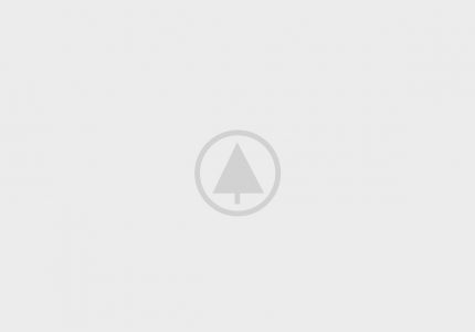 wood-gallery-placeholder caterpillar ecm