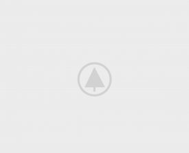wood-portfolio-placeholder caterpillar ecm