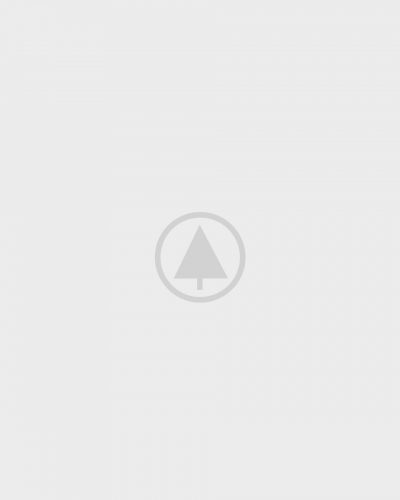 wood-portfolio-placeholder caterpillar ecm