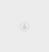 wood-portfolio-placeholder caterpillar ecm