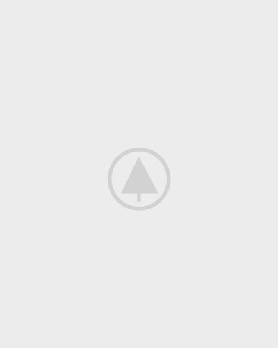 wood-portfolio-placeholder caterpillar ecm