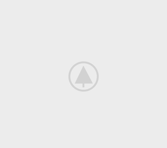 wood-portfolio-placeholder caterpillar ecm