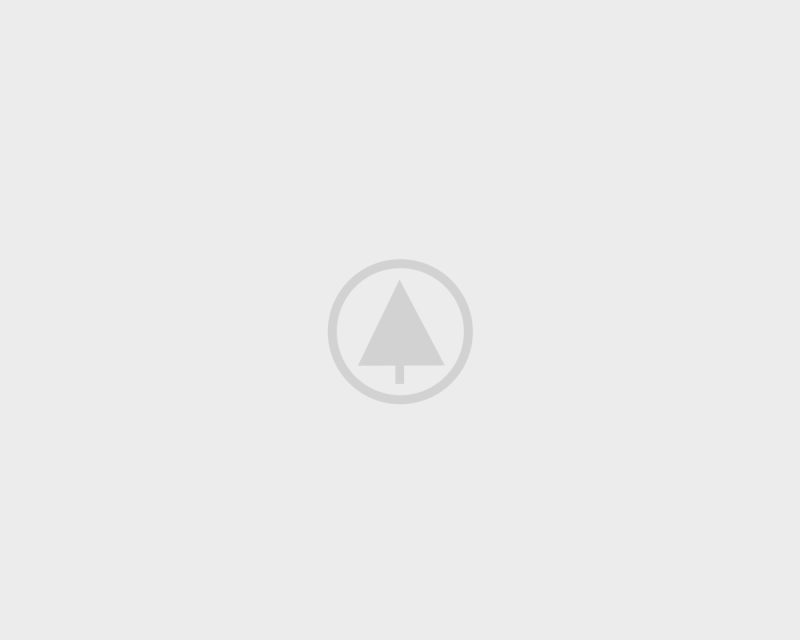 wood-portfolio-placeholder caterpillar ecm